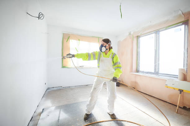 Best Mold Prevention Services  in St Augustine, FL