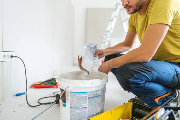 Best Basement Mold Removal  in St Augustine, FL