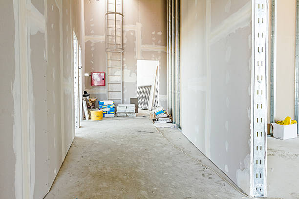 St Augustine, FL Mold Removal Company