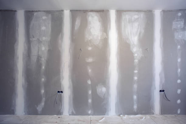 Best Mold Documentation for Insurance Claims  in St Augustine, FL
